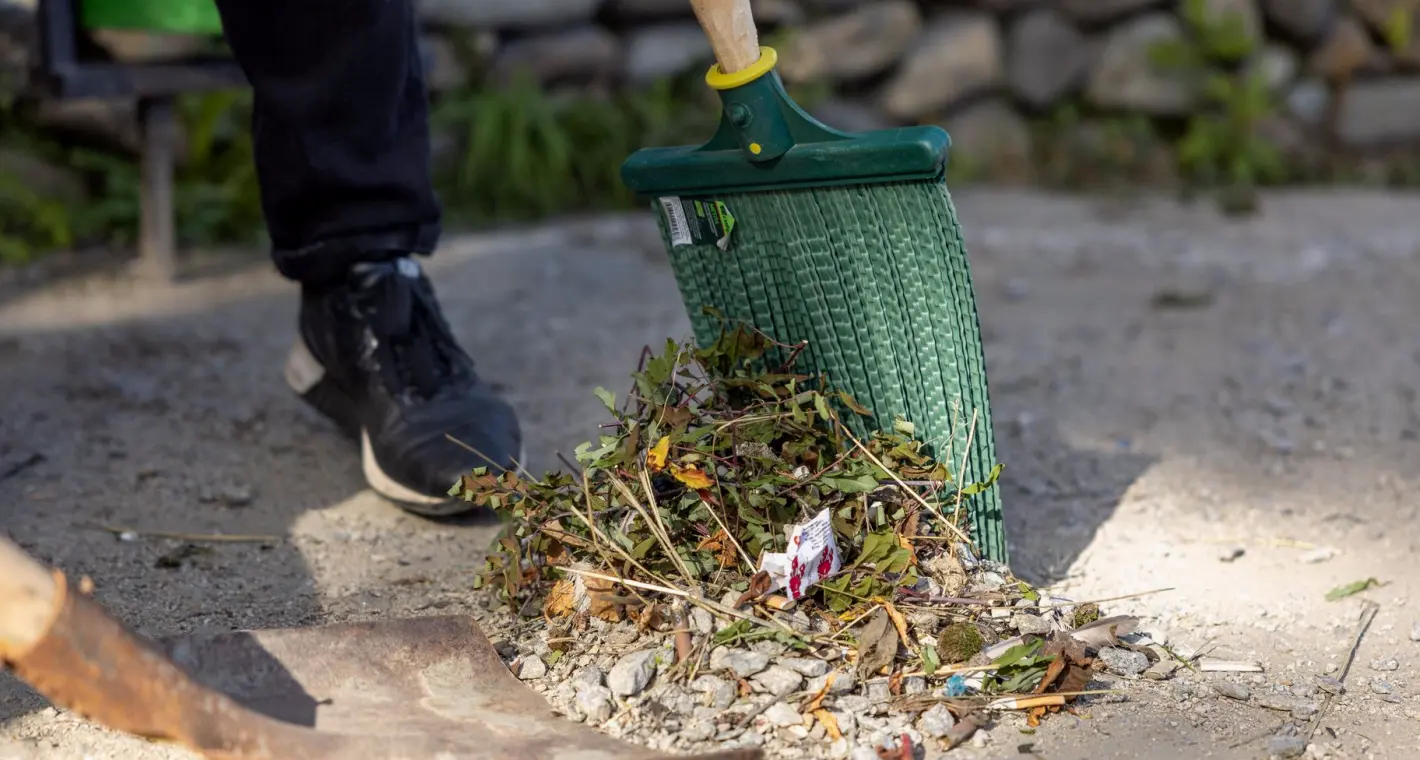 Neighbours Who Keep the Block Going: How to Join In This Autumn