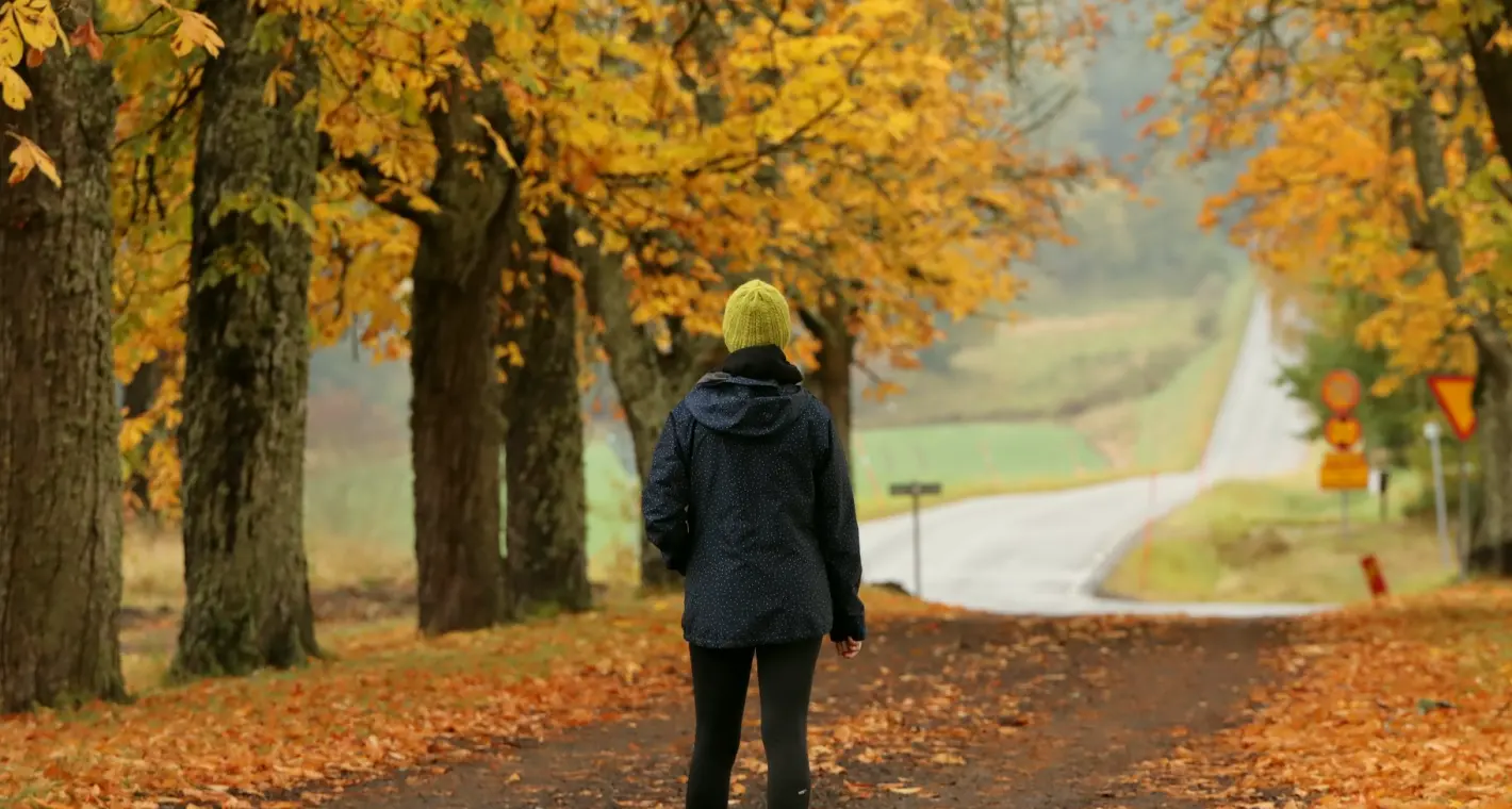 Mid-Autumn Light: Preparing Your Photo Essay Now